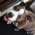 Joy Lumpkin - @joylumpkin - Instagram