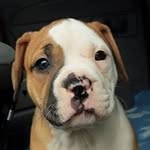 Joyce Lundgren Johnson - @joycelundgrenjohnson - Instagram