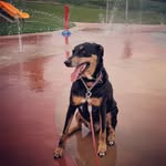 joymahan - @joymahan34 - Instagram