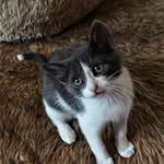 Joy Manley - @dodohep748 - Instagram