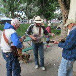Joy Maples - @bluegrassatthefair - Instagram