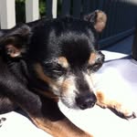 Joyce Marcotte - @joycemarcotte - Instagram