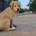 @joy_masti.2007 - Instagram