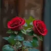 joy may - @joy.may624 - TikTok