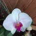 Holly Joy Maynard - Facebook