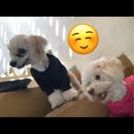 Joy Mcalister - @joy_mcalister04 - Instagram