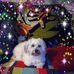 Joy McAlister - Facebook
