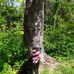 Joy McCall - Facebook