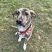 Joy McCall - Facebook
