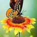 Joy Mcclure - Facebook