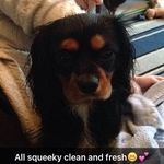 Heavenly Nails - @joy.mcdowell - Instagram