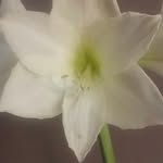 Joy Miller McKinnon - @joymillermckinnon - Instagram