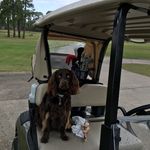 joyjmcnulty - @joyjmcnulty - Instagram