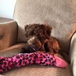 Mary Joy Mcnulty - @mcnulty9922 - Instagram