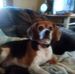 Joy Meyer - Facebook
