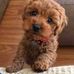 Joy Millard - Facebook