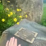 Joy Boudreaux Moore - @joymoore11 - Instagram