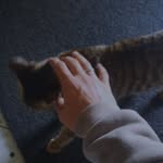 Joy Morintoh - @joymorintoh - Instagram