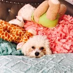 Chloe Joy Moseley - @chloejoymoseley - Instagram