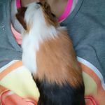 Joy neumann - @neumann9132 - Instagram