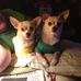 Joyce Newcomb - Facebook