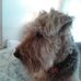 Joyce Newcomb - Facebook