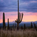 Joy Oakley - @oakley1085 - Instagram