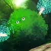 JoyOden - @user3950011092099 - TikTok