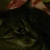 joyodom79 - @joyodom79 - TikTok