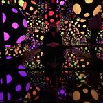 Joy Olson - @joyolsondc - Instagram
