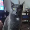 Joy Olson - @joy.olson4 - TikTok