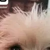 f - @joyowenxe63w69 - TikTok