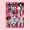 Joy Pack - @joys_pack3 - TikTok