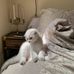 Joye Padgett - Facebook