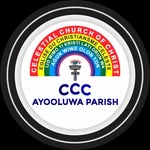 CCC Ayo-Oluwa Parish - @joyfulparish - Instagram