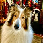 Joy Parish - @joy_parish - Instagram