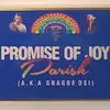 Promise of joy parish - @promiseofjoyparish - TikTok