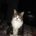 Joy Parnell - Facebook