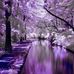 Joy Parnell - Facebook