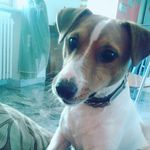 joy.pitta.the.parson - @joy.the.parson - Instagram