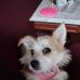 Joy Pelfrey - Facebook