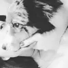 Perrine Catouillard - @perrine.joy - TikTok