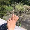 Joy Phan - @pullhwang28 - TikTok