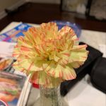 Caroline Joy Pickett - @becoming_cronicly_iconic - Instagram