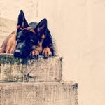 Joy Alison - @joy.pickett.7 - Instagram