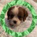 Joy Pickett - Facebook