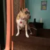 joycepickett310 - @joycepickett310 - TikTok
