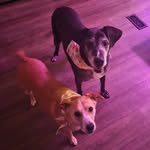 Joy Pitts - @pittsjm - Instagram