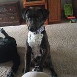 Joy Prater - @jprater78 - Instagram