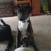 Joy Prater - Facebook